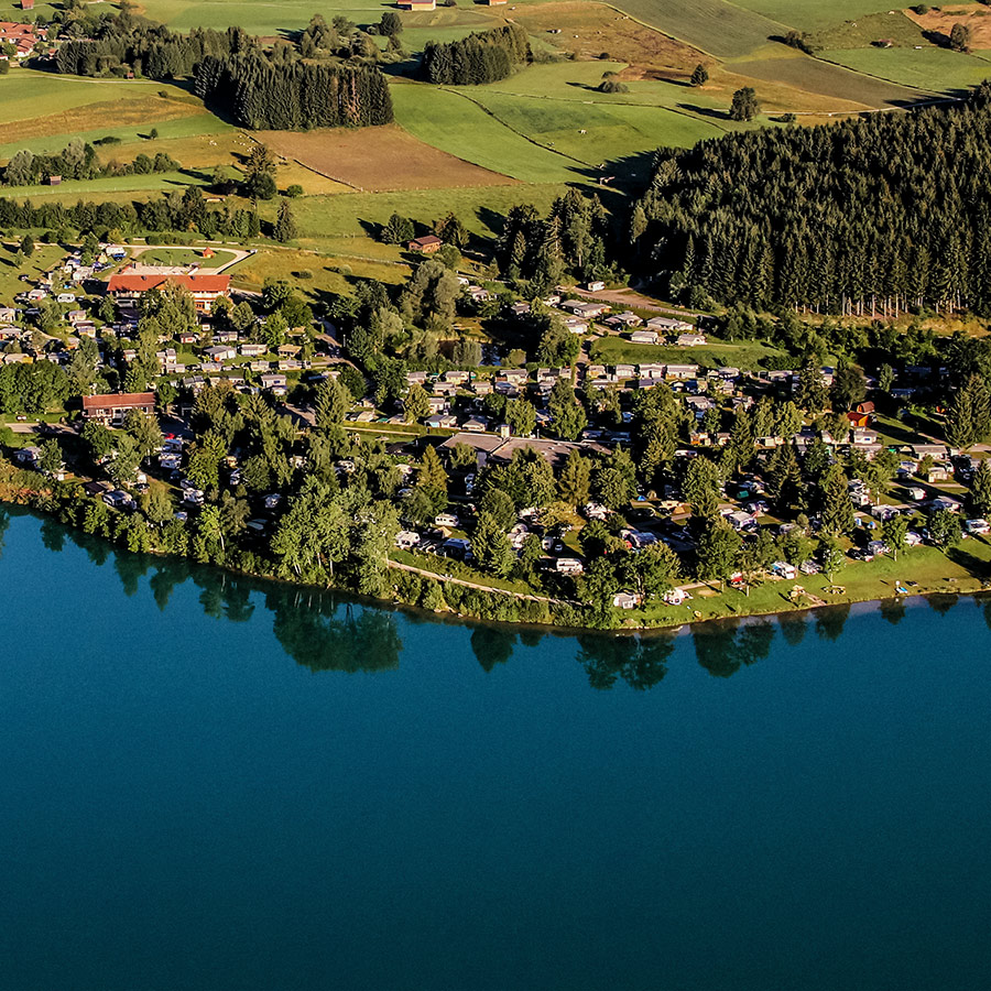 Dekoratives Bild Dekoratives Bild